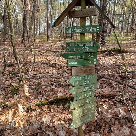 Вилла Waldblick Cavertitz Экстерьер фото